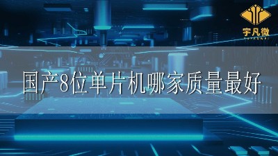 國(guó)產(chǎn)8位單片機(jī)哪家質(zhì)量最好