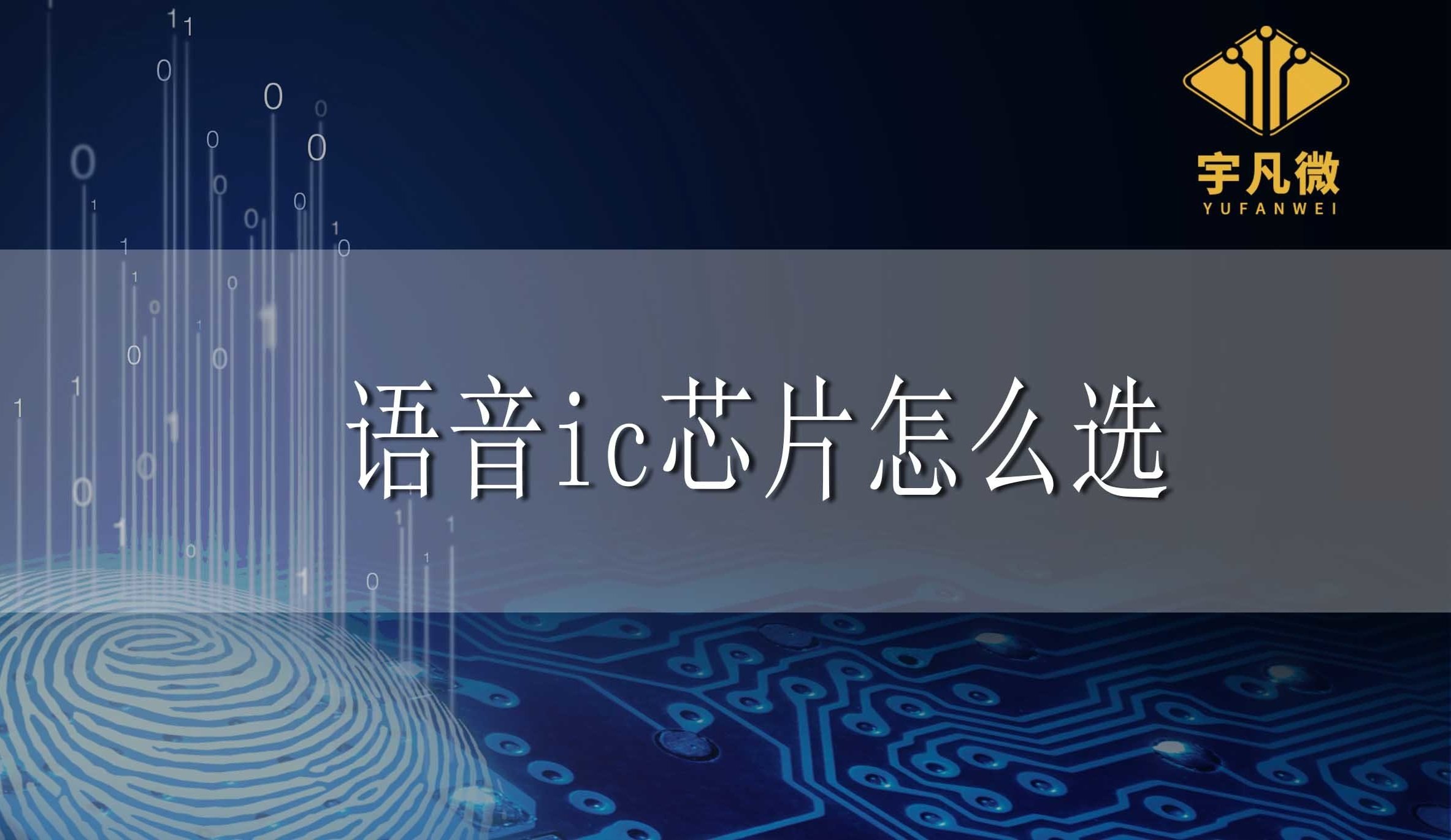 語音ic芯片怎么選？